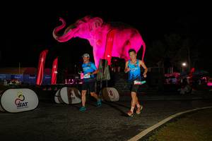 BIB: 
                            <button type="button" onclick="openModal(26534225)" class="btn btn-primary btn-sm float-right btn-popup" data-toggle="modal" data-target=".modal-high-quality">
                        <i class="fas fa-shopping-cart"></i> Add to Cart
                    </button>
                                            <button type="button" onclick="isThisMe(26534225, true)" class="btn btn-success btn-sm float-right btn-popup btn-isme hidden" data-toggle="tooltip" data-placement="bottom" title="นี่คือรูปของคุณใช่ไหม คลิกที่นี่เพื่อเอาเข้าอัลบั้ม">
                        <i class="fas fa-plus"></i> Add to album
                    </button>
                    <button type="button" onclick="isThisMe(26534225, false)" class="btn btn-warning btn-sm float-right btn-popup btn-isnotme hidden">
                        <i class="fas fa-ban"></i> Remove from album
                    </button>